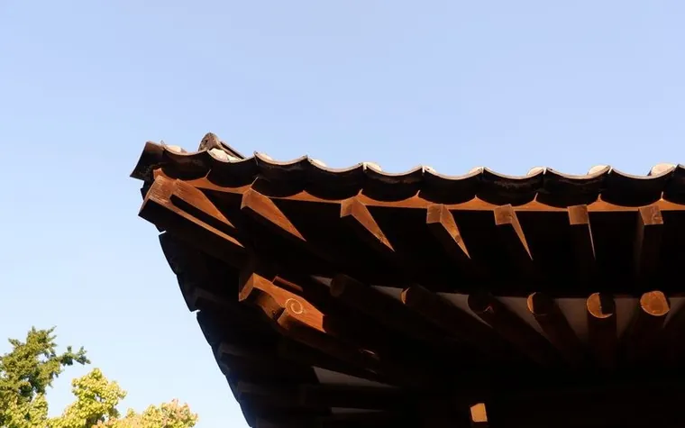 한옥 기와지붕을 아래에서 올려다본 모습